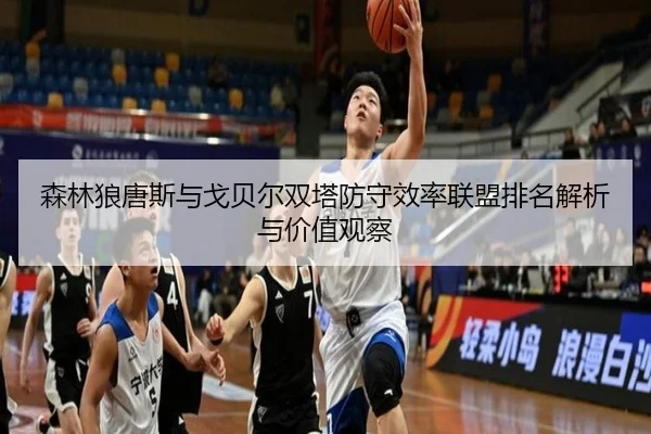森林狼唐斯与戈贝尔双塔防守效率联盟排名解析与价值观察